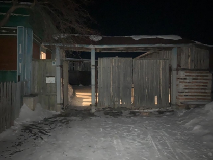 В Шумихинском районе местный житель обвиняется в убийстве сожителя матери