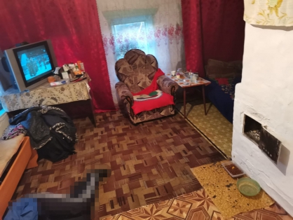 Жительница Шатровского района задержана по обвинению в совершении убийства