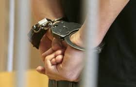 Житель Шатровского района заключен под стражу по обвинению в совершении сексуального насилия